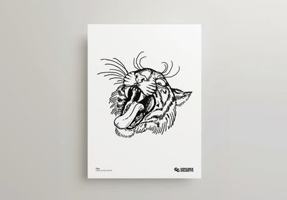 Tigre